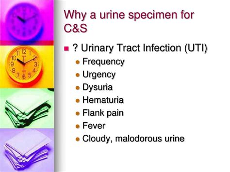 C/S Urine .